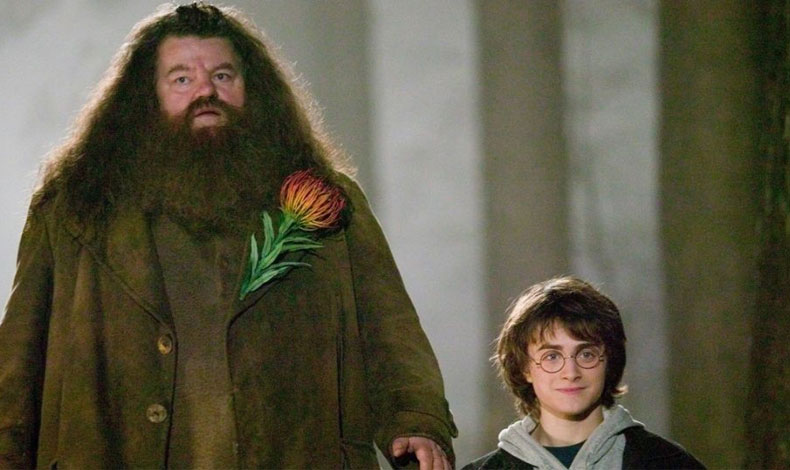 Actor que interpret a Hagrid en Harry Potter' reaparece en silla de ruedas