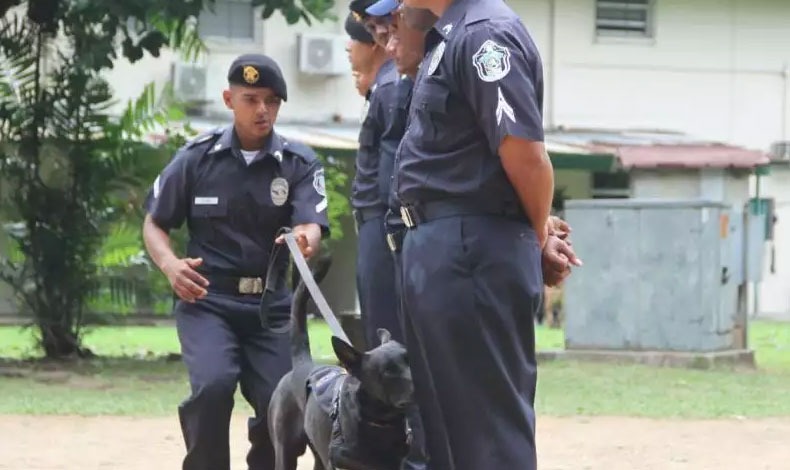 Agentes de seguridad son especializados en el manejo de canes auxiliares