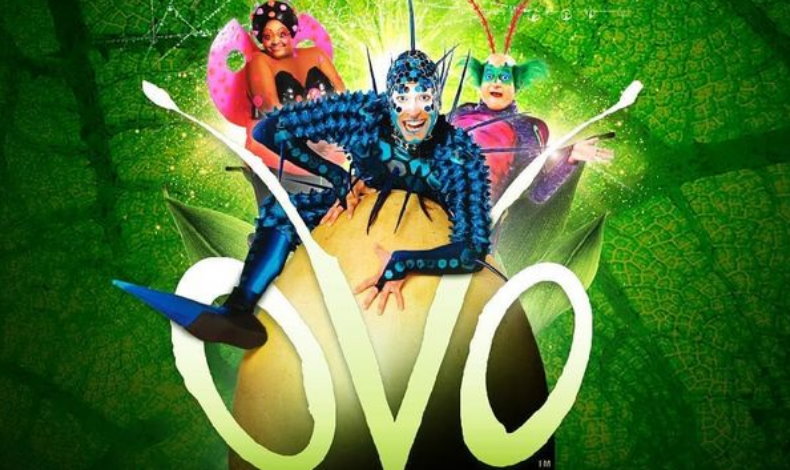 Cirque Du Soleil llega a Panam con su show OVO del 12 al 17 de noviembre