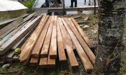 Polica Nacional logran decomisar madera que era transportada de forma ilegal