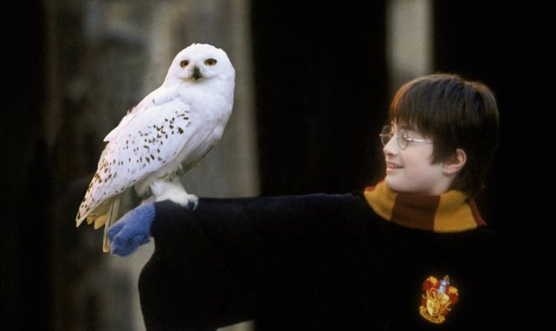 Fans de Harry Potter reviven a los cados de la saga