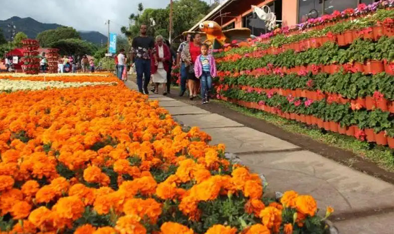 Feria de las Flores y el Caf supera todos los records de asistencia en Chiriqu