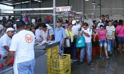 Trabajadores del Mercado de Marisco alegan que las ventas han bajado considerablemente