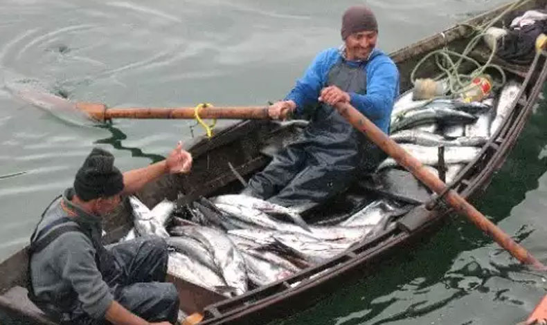 Panam desarrolla iniciativa para impulsar la pesca artesanal sostenible