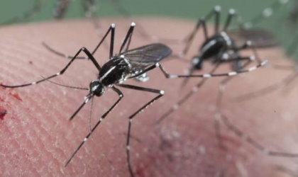Minsa confirman ya 50 casos de virus zika en Guna Yala