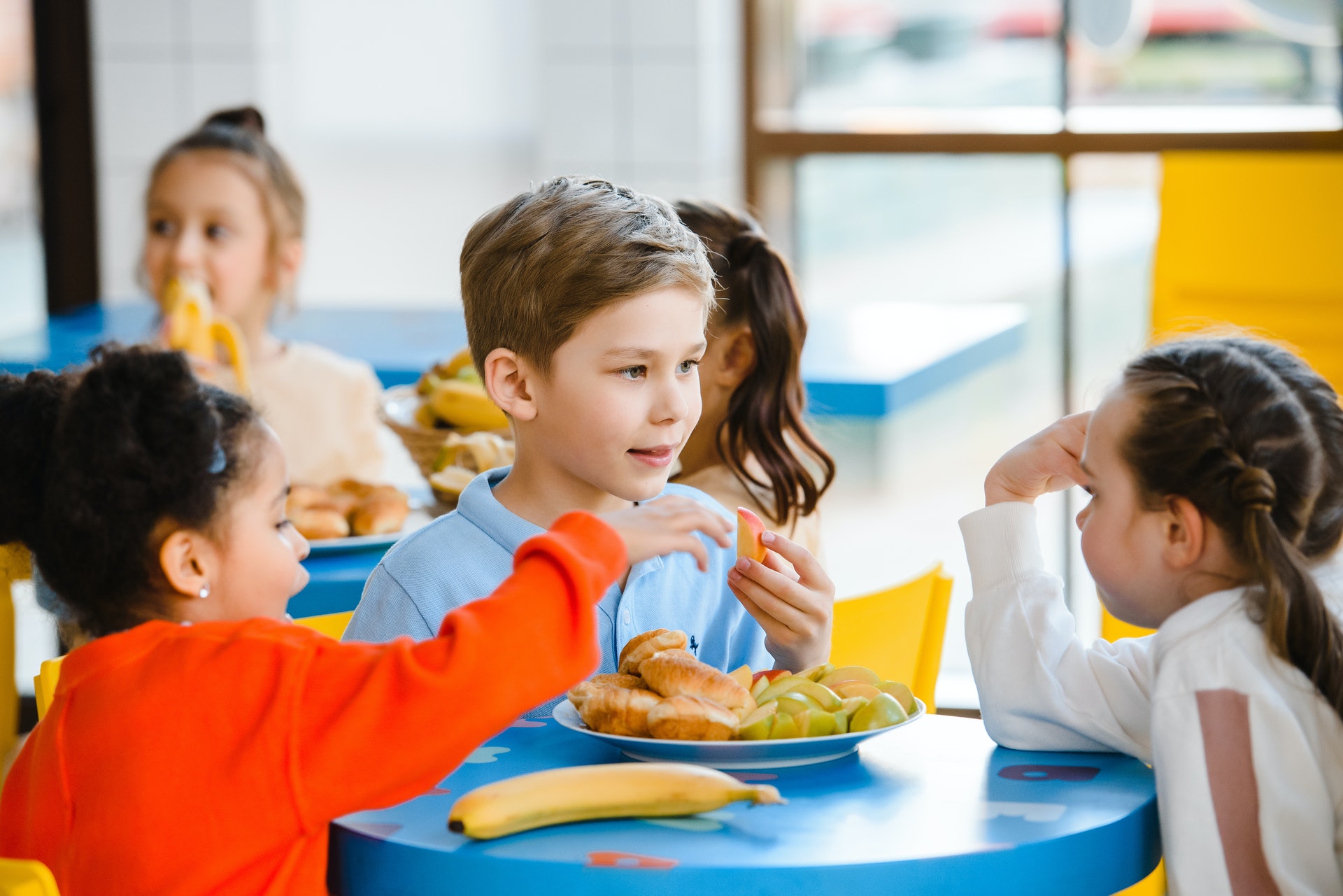 Desafos en la alimentacin escolar