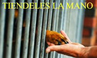 T� puedes formar parte de Angeles de los Animales