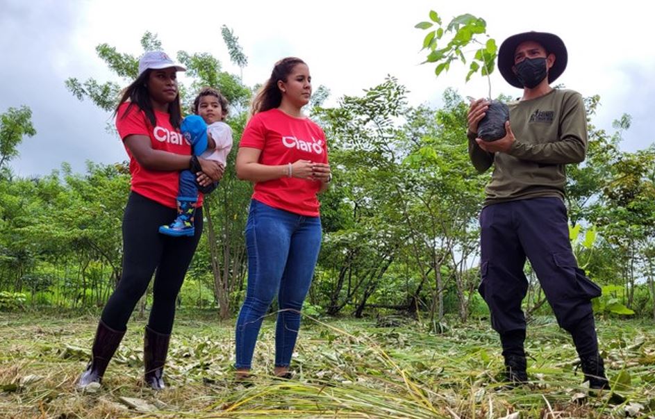Voluntarios de Claro Panam y Fundacin Limpia Panam reforestan en el Parque Nacional Camino de Cruces