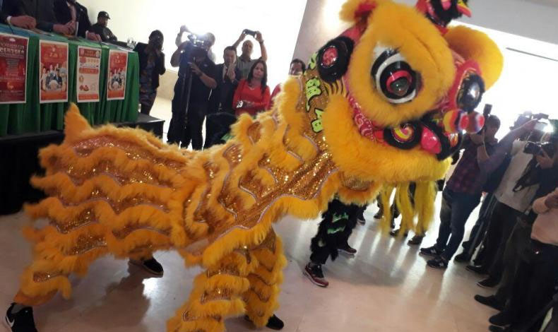 Comunidad china celebrar el Ao del Perro de Tierra