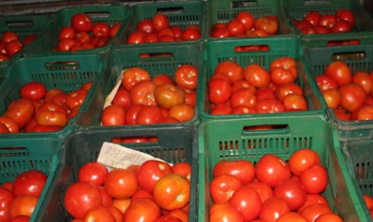 Decomisan 60 cajas de tomates en Renacimiento