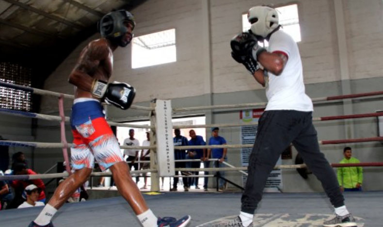 El boxeo en Panam busca volver a la gloria