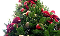 Digicel es Navidad y lleva el espritu navideo a todo el pas