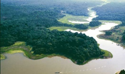Google permite explorar la cuenca del Amazonas desde tu casa