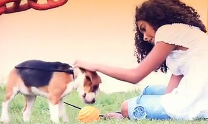 Nueva producci�n de Patas y Pies