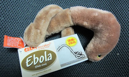peluche-en-forma-de-virus-ebola.jpg