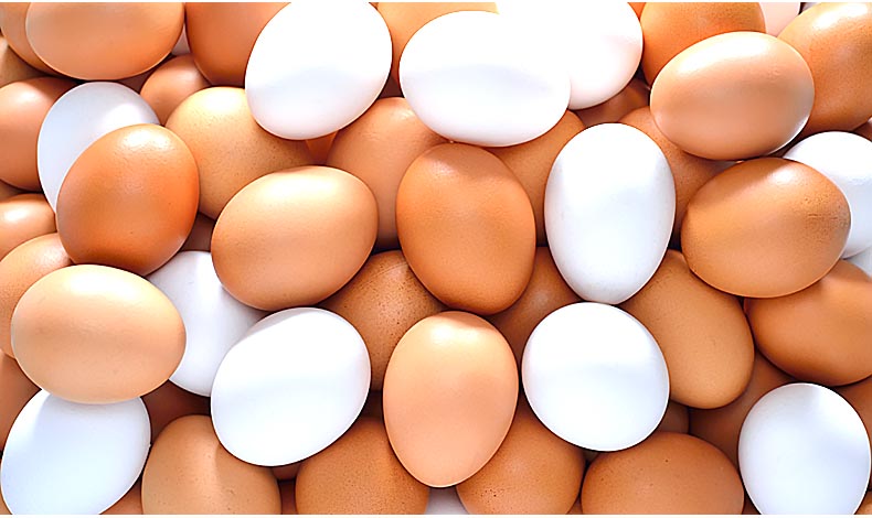 Al ao una persona podra consumir 170 huevos