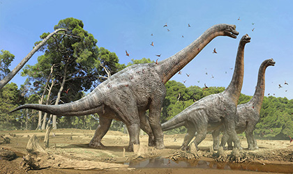 Los cientficos estaban equivocados sobre el sexo de los dinosaurios?
