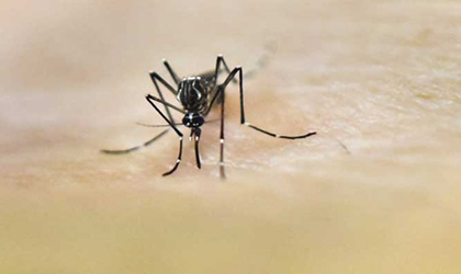 El Zika se sigue abriendo paso en Panam