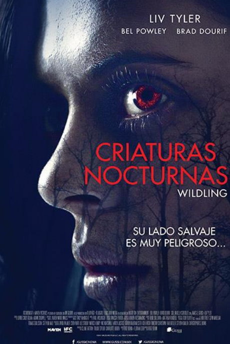 Criaturas nocturnas