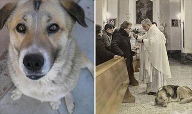 /vidasocial/perro-asistia-a-misa-todos-los-dias-en-italia/58294.html