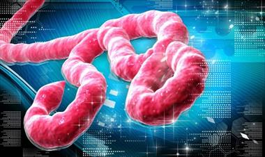 /vidasocial/entidades-de-salud-estan-alertas-ante-nuevo-caso-de-ebola/77149.html