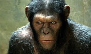 /cine/secuela-del-planeta-de-los-simios-llegara-en-mayo-de-2014/14845.html
