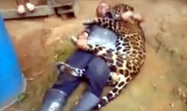 /vidasocial/sale-video-de-los-cazadores-jugando-con-el-cuerpo-del-jaguar-herrerano/22374.html