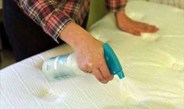 /vidasocial/aprende-a-desinfectar-tu-colchon-y-almohadas-de-manera-facil-y-efectiva/45034.html