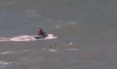 /vidasocial/video-de-brutal-ataque-de-tiburon-en-brasil/21324.html