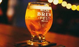 Lo que tanto esperaste, Regresa el Micro Brew Fest!