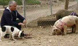 Cesar Millan es investigado por crueldad animal