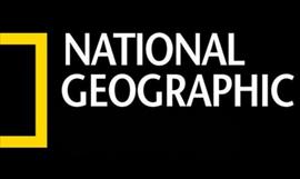 National Geographic transmitir especial de la Boda Real