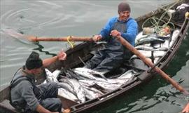 Pescadores son instruidos por la ONU en prcticas sostenibles