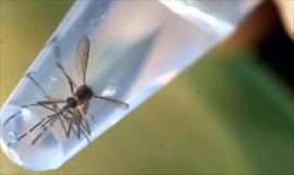 Fallece recin nacido con microcefalia relacionada con el Zika