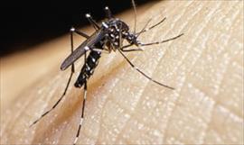 Van cuatro casos de microcefalia asociadas al zika en Panam