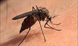 San Miguelito est activo por la llegada de las lluvias para combatir el dengue y zika en la zona