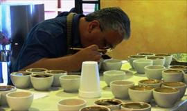 Caf geisha panameo ser mayormente vendido en China, segn Wilford Lamastus