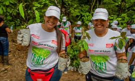 ONG Marea Verde anota su primer gol en 2020 contra la basura y el plstico que llega a los ros y ocanos de Panam