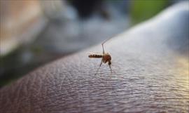 Presuntamente por dengue mueren dos menores de edad