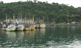 Panam tiene un alto consumo de pescado