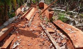 Situacin del trfico ilegal de vida silvestre en Panam