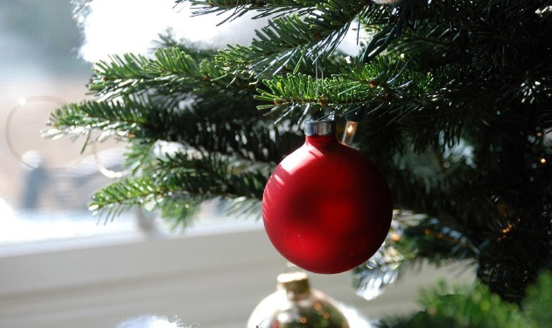 Consejos para conservar el rbol de navidad fresco y con su agradable aroma
