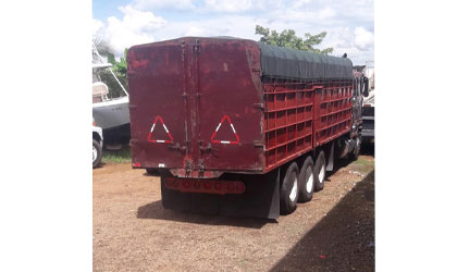 Agentes de la Aduana en Chiriqu retienen camin con 563 cajas de banano de dudosa procedencia