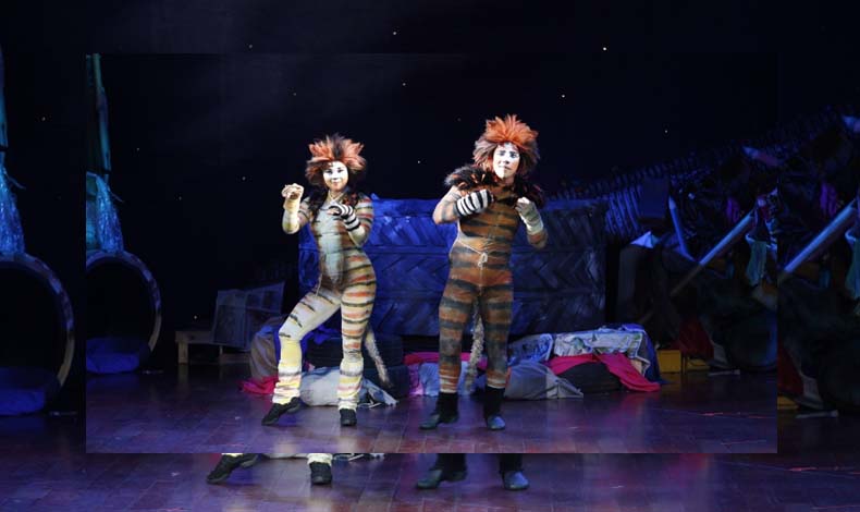 Cats, un musical que no te puedes perder