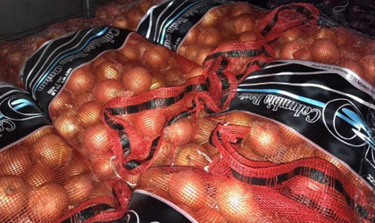 Decomisan cebolla germinada proveniente de Chile y Estados Unidos
