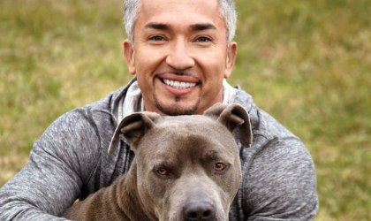 Cesar Millan es investigado por crueldad animal