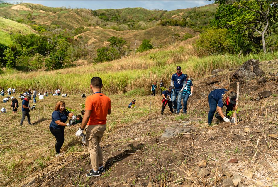 Celebran el da de la Tierra con reforestacin en Panam Pacfico, Va Panamericana y Metro Park