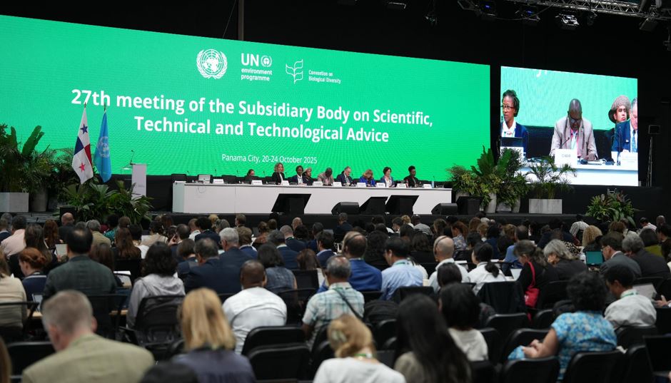 Panam� recibe a expertos mundiales de la Convenci�n sobre Biodiversidad