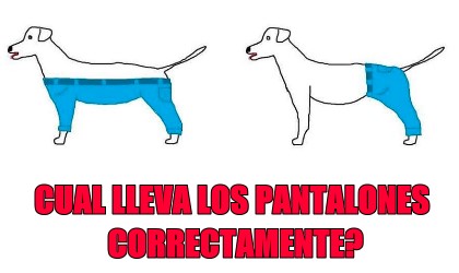 El nuevo dilema de las redes sociales del perro y sus pantalones