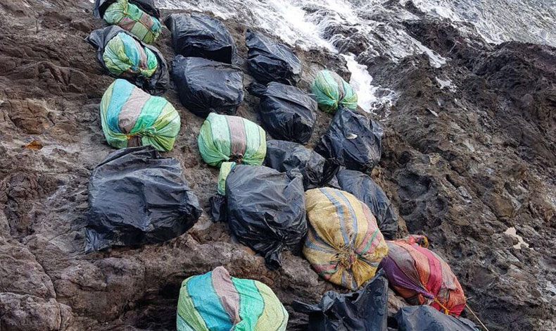 SENAN decomisa droga en la Isla Taboguilla